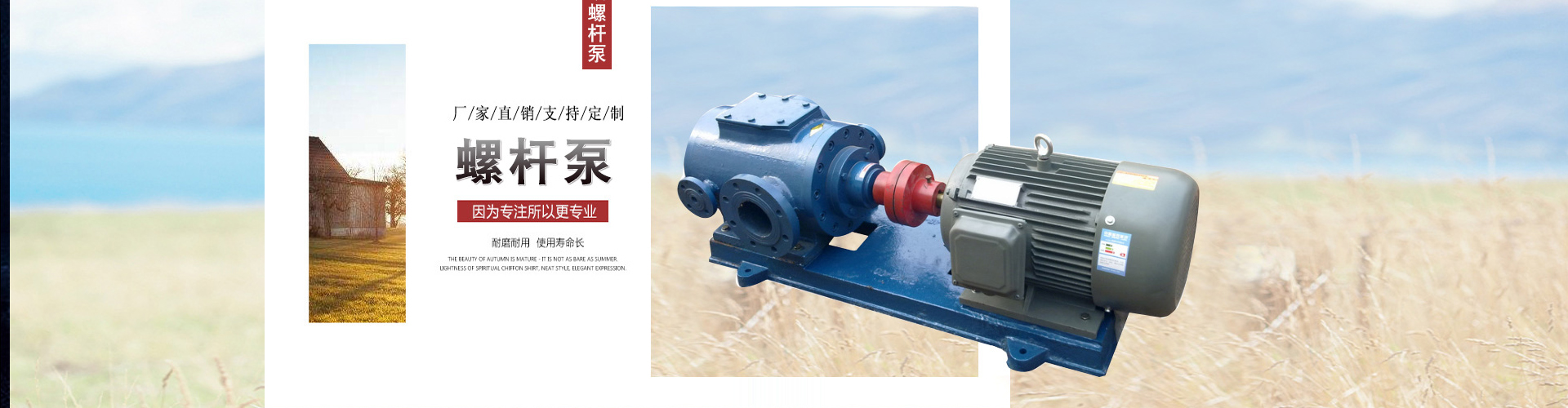 積放鏈,積放輸送機(jī)